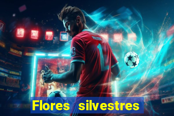 Flores silvestres brasileiras 25